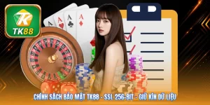 Chính Sách Bảo Mật Tk88 | SSL 256-Bit - Giữ Kín Dữ Liệu