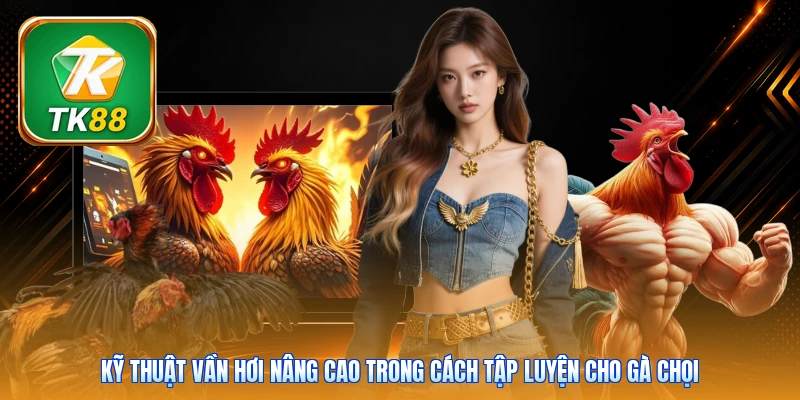 Cách Tập Luyện Cho Gà Chọi Tk88 | 7 Bài - Tăng Thể Lực Kỹ thuật vần hơi nâng cao trong cách tập luyện cho gà chọi