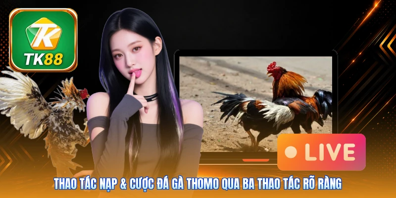 Thao tác nạp & cược đá gà Thomo qua ba thao tác rõ ràng
